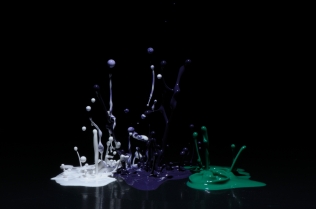 Color in Motion_67