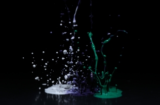 Color in Motion_68