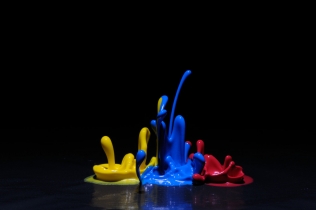 Color in Motion (6)