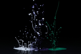 Color in Motion_72