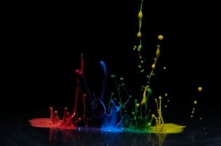 Color in Motion_73