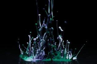 Color in Motion_77