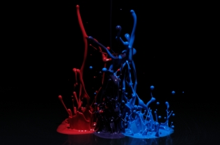 Color in Motion_79