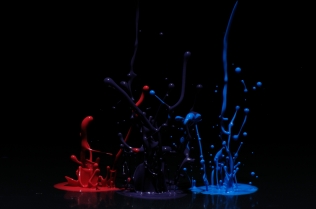 Color in Motion - Rainbow