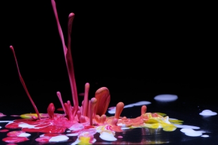 Color in Motion (7)