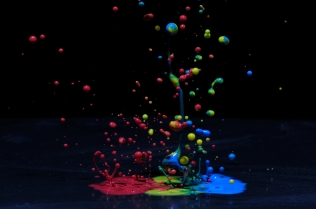 Color in Motion (12)
