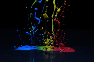 Color in Motion (13)