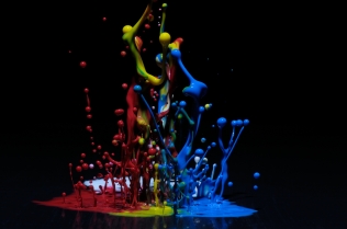 Color in Motion (15)