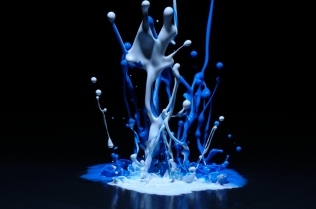Color in Motion (16)