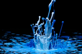 Color in Motion (17)