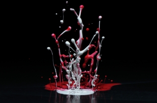 Color in Motion (18)