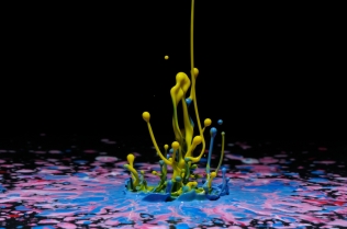 Color in Motion (20)
