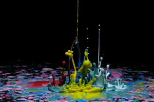 Color in Motion (21)
