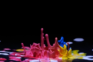Color in Motion (8)