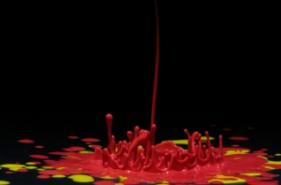 Color in Motion (1)