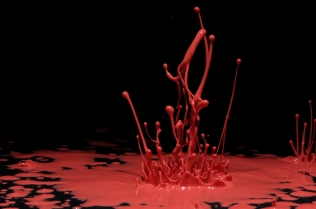 Color in Motion_11