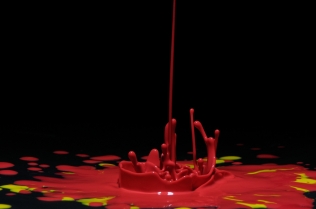 Color in Motion - Red