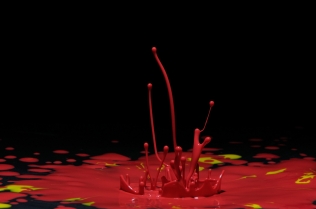 Color in Motion (7)