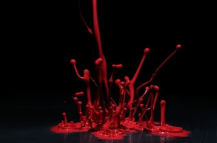 Color in Motion (8)