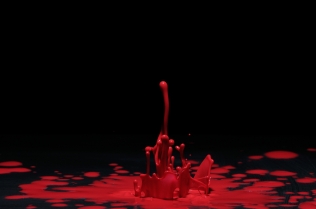 Color in Motion (9)