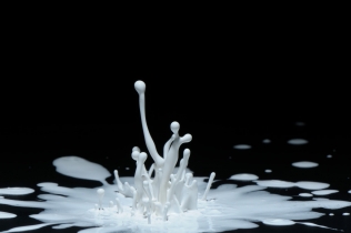Color in Motion (10)