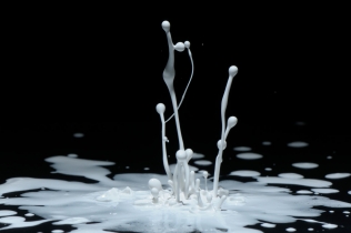 Color in Motion (14)