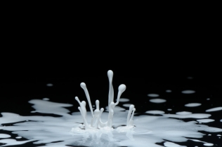 Color in Motion (17)