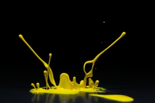 Color in Motion (1)