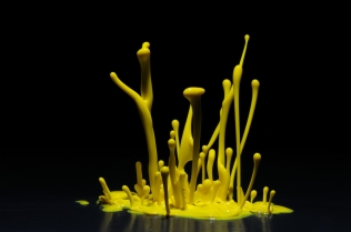 Color in Motion (3)