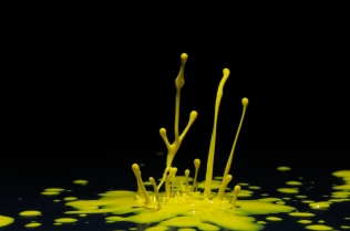 Color in Motion (4)