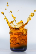 Dinge ins Wasser  (12)