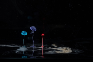 Liquid Flow - Rainbow_30