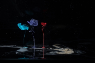 Liquid Flow - Rainbow_31