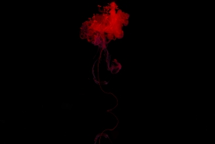 Liquid Flow - Red