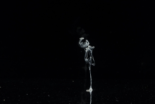 Liquid Flow - White_11