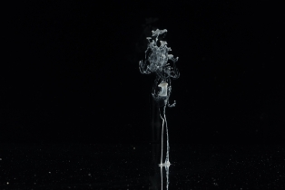 Liquid Flow - White_13