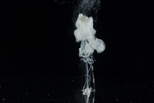 Liquid Flow - White_17