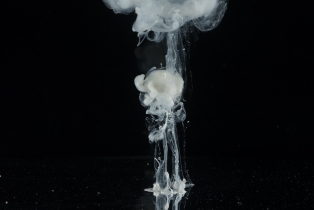 Liquid Flow - White_26