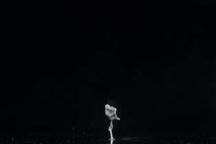 Liquid Flow - White_27