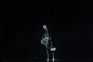Liquid Flow - White_29