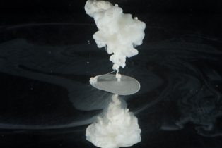 Liquid Flow - White_2