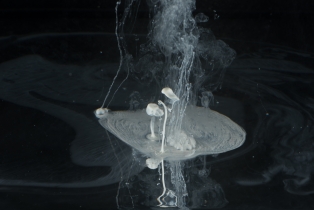 Liquid Flow - White_3