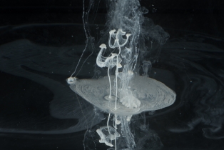 Liquid Flow - White_4
