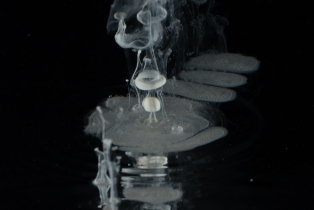 Liquid Flow - White_6