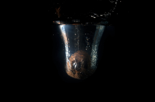 Obst in Wasser (17)