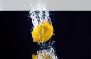 Obst in Wasser (76)