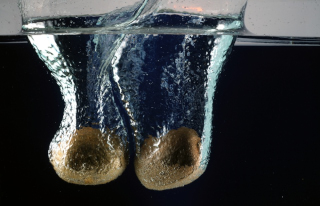 Obst in Wasser (84)