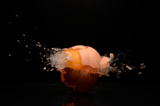 Eier / Eggs