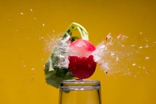 Radieschen / Radish_1