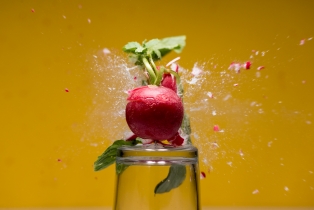 Radieschen / Radish_2